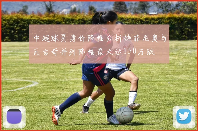 中超球员身价降幅分析热菲尼奥与瓦吉奇并列降幅最大达150万欧